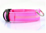 Nylon LED Dog Collar