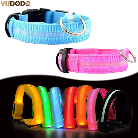 Nylon LED Dog Collar