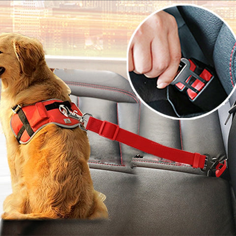 Harness Seat belt