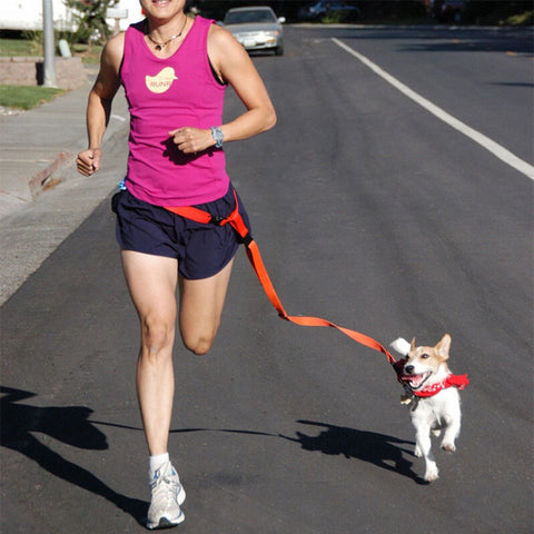 Hands-Free Jogging Leash
