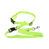 Hands-Free Jogging Leash