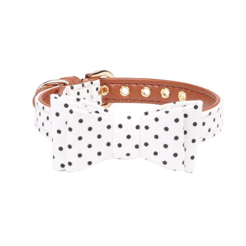 Polka Dot Collar