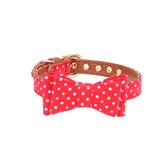 Polka Dot Collar