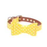 Polka Dot Collar