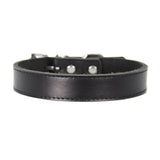 Genuine Leather Dog Collar
