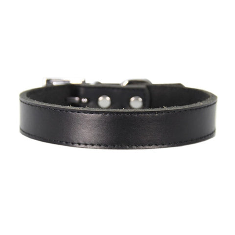 Genuine Leather Dog Collar