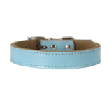 Genuine Leather Dog Collar