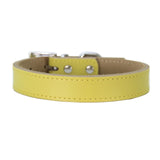 Genuine Leather Dog Collar