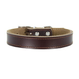 Genuine Leather Dog Collar