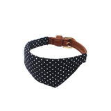 Polka Dot Collar