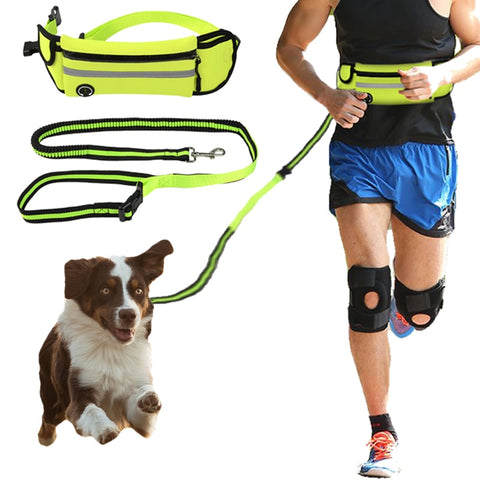 Reflective Detachable Hands Free 2-in-1 Leash Set