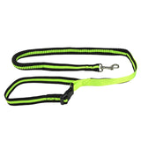 Reflective Detachable Hands Free 2-in-1 Leash Set