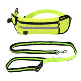 Reflective Detachable Hands Free 2-in-1 Leash Set