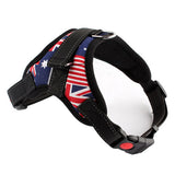 Durable Reflective Harness