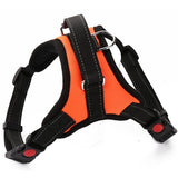 Durable Reflective Harness