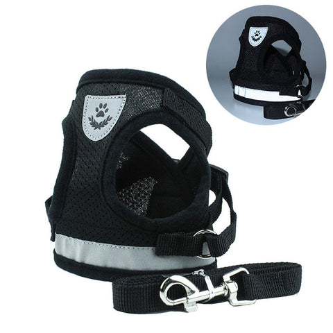 2-in-1 Polyester Mesh Harness
