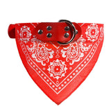 Adjustable Print Collar