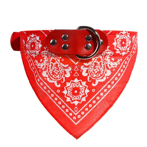 Adjustable Print Collar