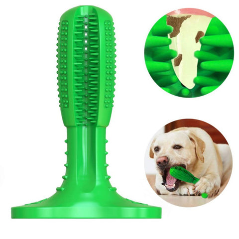 Dog Toothbrush Toy