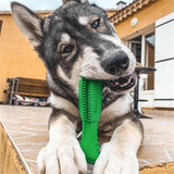 Dog Toothbrush Toy